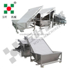 Efficient Shrimp Sorting Machine, Precise Sorting/Grading for Every Shrimp