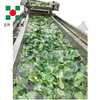 Industrial Continuous High Capacity Fruit Processing Line Manufacturing Fruit Freezing Equipment Fruit Frozen Vegetable Production Line