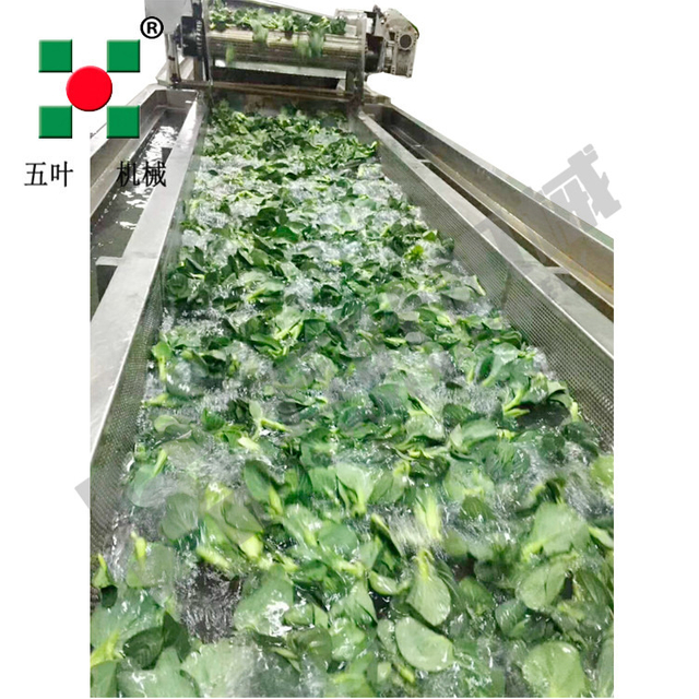 Industrial Continuous High Capacity Fruit Processing Line Manufacturing Fruit Freezing Equipment Fruit Frozen Vegetable Production Line
