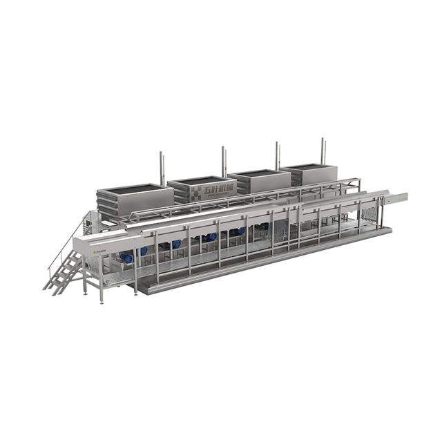 Iqf Freezer Machine