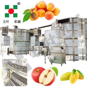 Professional Spiral Fruit Dryer For Berry Fruits
