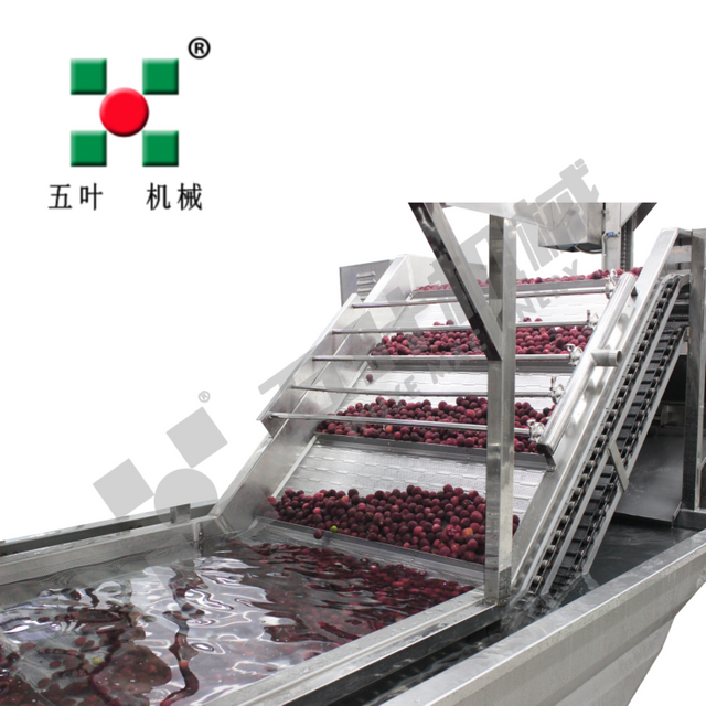 Automatic Continuous Waxberry Frozen Fruit And Vegetable Production Line Fruit Freezing Equipment Fruit Production Line