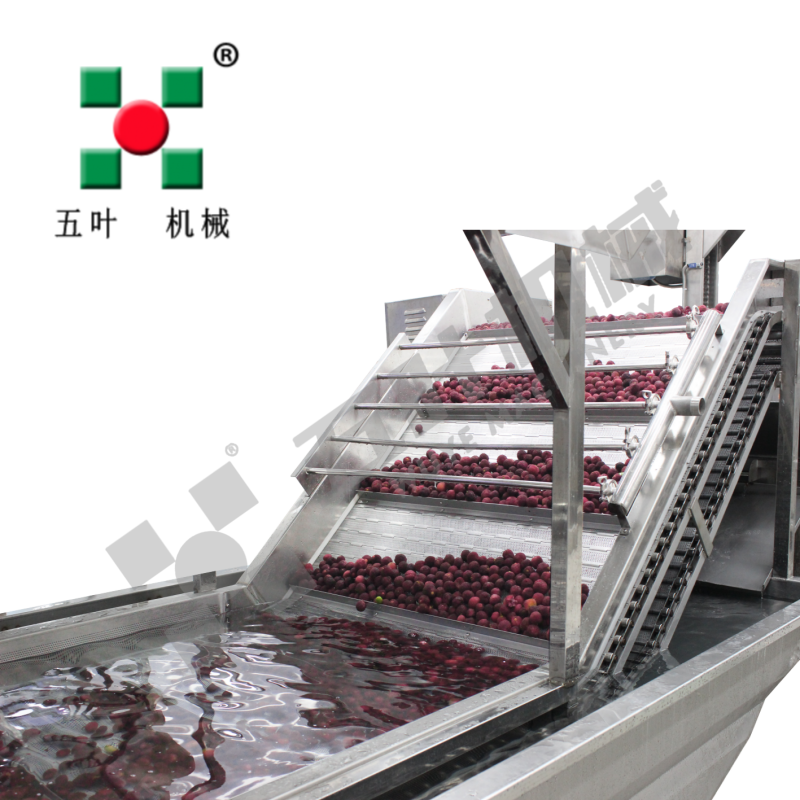 Automatic Continuous Waxberry Frozen Fruit And Vegetable Production Line Fruit Freezing Equipment Fruit Production Line