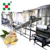 Industrial Air Heated Vegetable & Ginger Dryer Dehydration Machine Food Processing Line for Dryer & Drying&belt Dryer