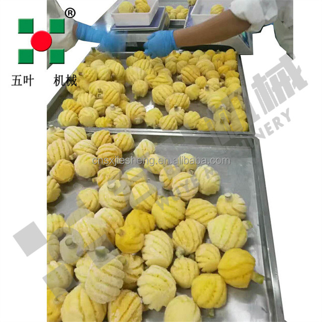 High-Efficiency Pineapple IQF Freezing Processing Line - Customized for Peeled Slices & Chunks Freeze Fruit Production Line