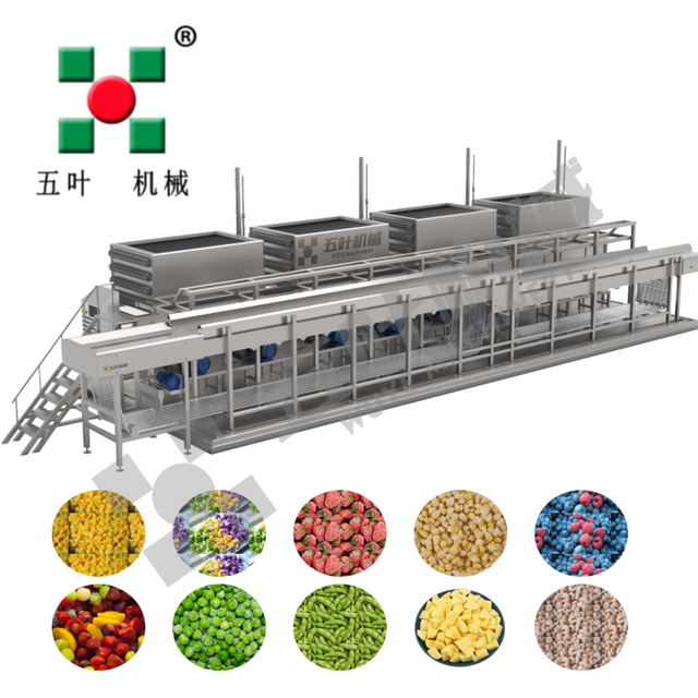 Customized IQF Freezing Equipment For Fruit Cubes