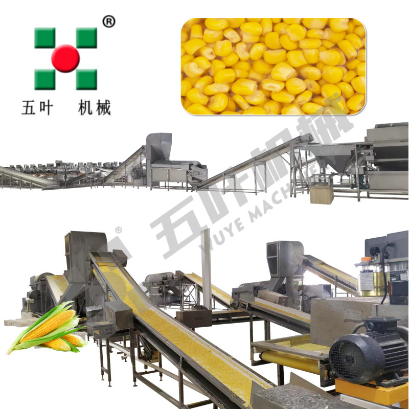Customized IQF Freezer Bean Product Processing Machinery