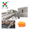 Manufacturer IQF Freezer Vegetable Production Line For Bamboo Shoots
