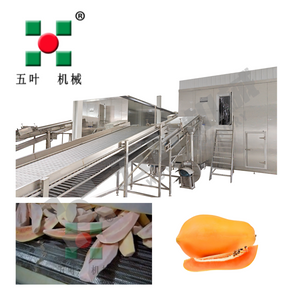 Professional IQF Freezer Fruit Production Machine For Papaya