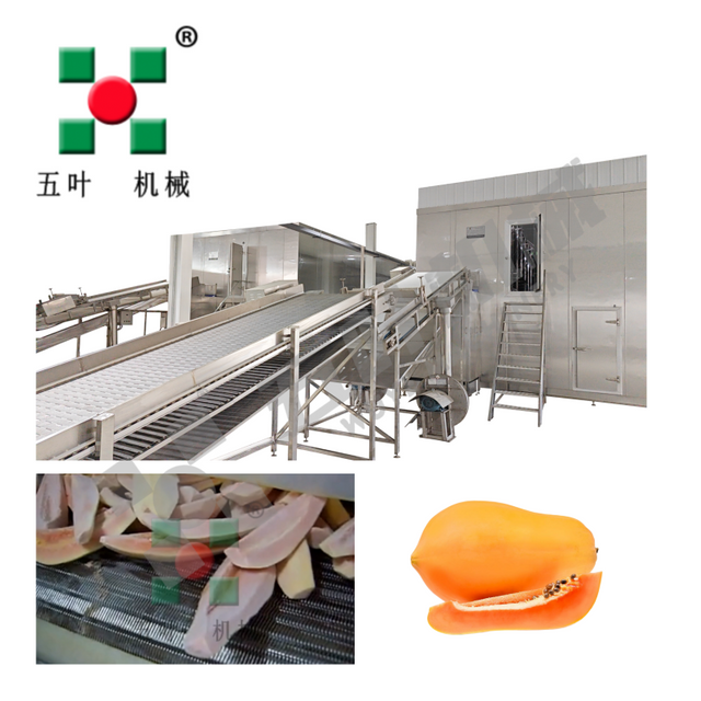 Professional IQF Freezer Fruit Production Machine For Papaya