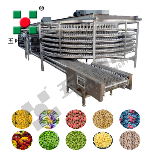 Customized Dryer production line For fruit&vegetable