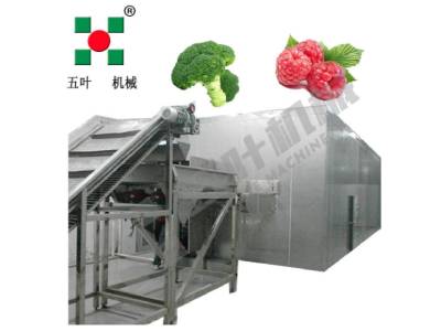 Quick Freezing Equipment for New Food Startups