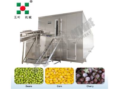 Choosing the Best Quick Freezing Equipment for Efficiency