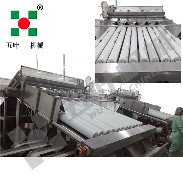 Efficient Shrimp Sorting Machine, Precise Sorting/Grading for Every Shrimp