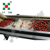 Industrial Continuous High Capacity Fruit Processing Line Manufacturing Fruit Freezing Equipment Fruit Frozen Vegetable Production Line