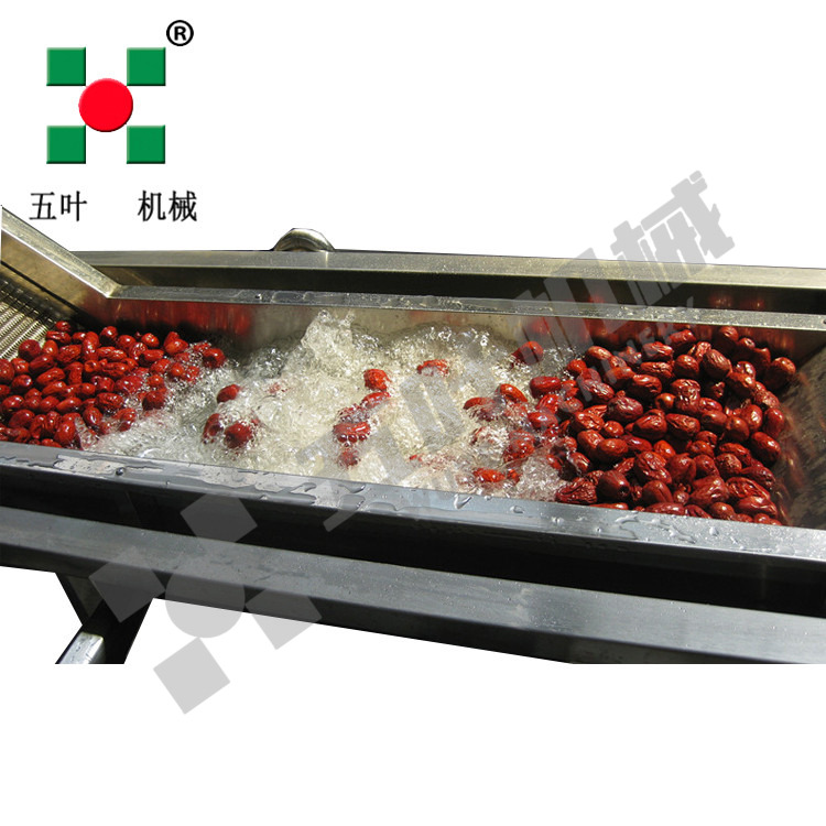 Industrial Continuous High Capacity Fruit Processing Line Manufacturing Fruit Freezing Equipment Fruit Frozen Vegetable Production Line