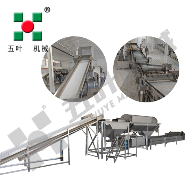 6000 Corn Frozen Vegetable Production Line IQF Freezer Machine Fruit Processing Line IQF Freezer Machine