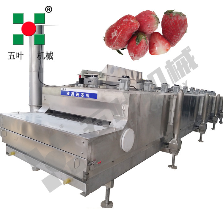 Liquid Nitrogen Tunnel Freezer - Ultra-Low Temp Instant Freeze