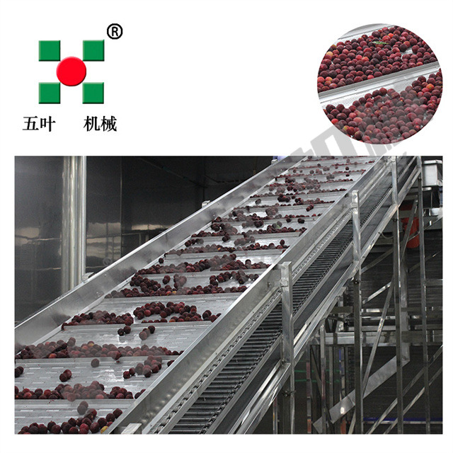 Waxberry/Strawberry and Other Fruits Frozen Production Line on Sale