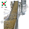 Industrial Air Heated Vegetable & Ginger Dryer Dehydration Machine Food Processing Line for Dryer & Drying&belt Dryer