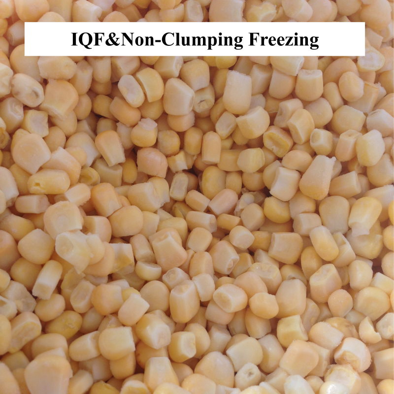 IQF Freezer细节图-13