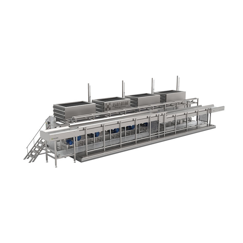Industrial IQF freezer machine displaying uniform quick freezing mechanics