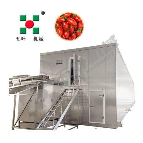 Fruits And Vegetable Production Lines for Frozen Food.jpg