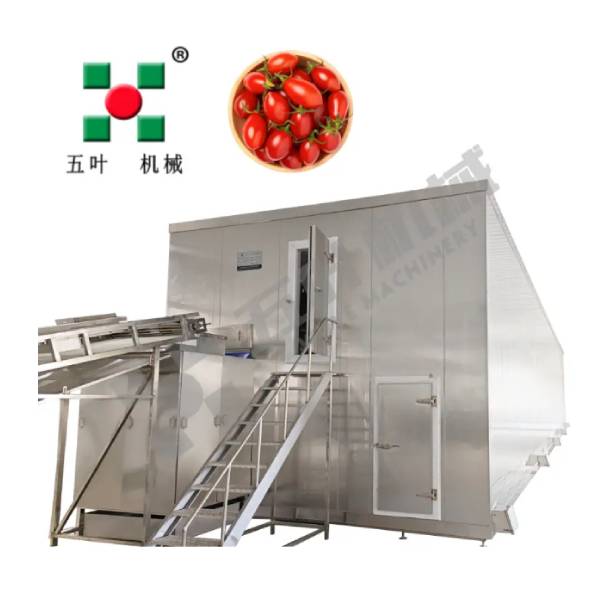 Fruits And Vegetable Production Lines for Frozen Food