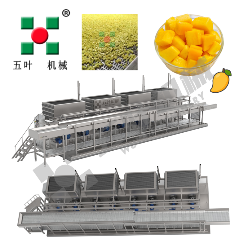 IQF freezer for mango