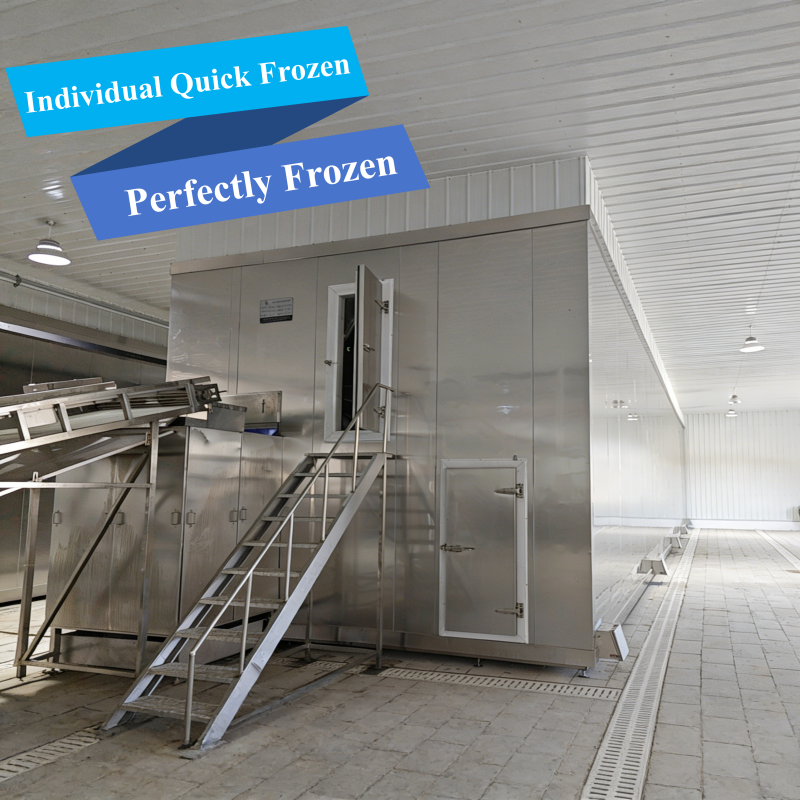 IQF Freezer场景图-3