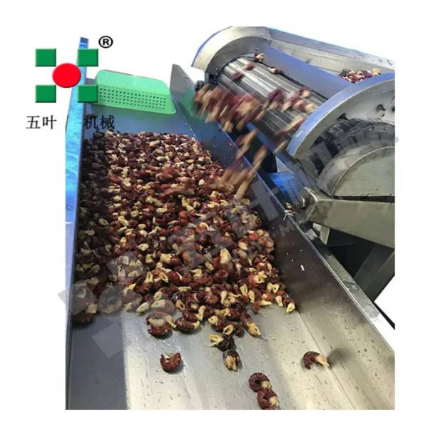 Seafood Production Lines Cost Factors Buyers Should Know