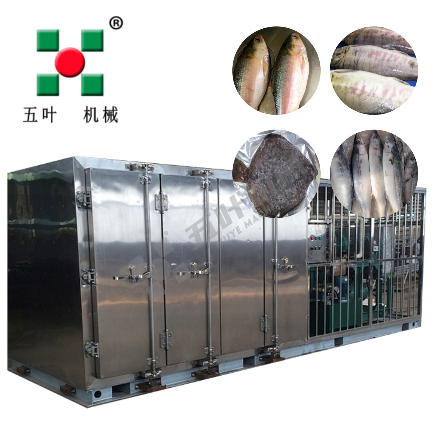 Quick Freezing Equipment Sizing